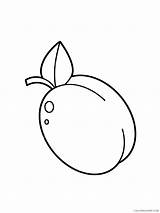 Plum Coloring4free 2021 Fruits Coloring Pages Food Printable Related Posts sketch template