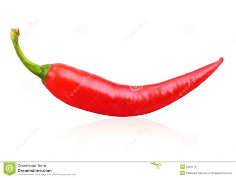 red chilli pepper isolated stock image image  eating