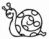 Coloring Pages Snail Animals Print sketch template
