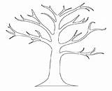 Coloring Tree Elm Getdrawings Pages Coconut sketch template