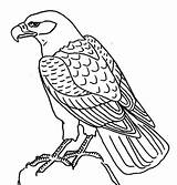 Para Dibujos Colorear Aguilas Eagle Template Aguila Animales Dibujar Imagenes Dibujo Infantiles águilas Imágenes Imprimir Templates Coloring Mandalas Del Printable sketch template