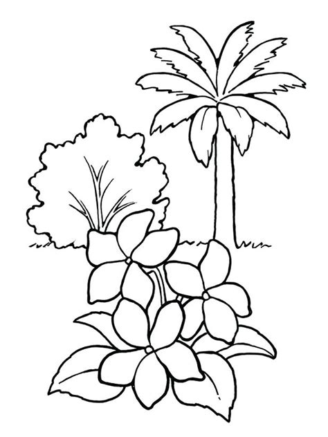 coloring pages trees plants  flowers  getdrawings
