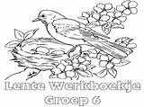 Groep Lente Werkboekje Werkbladen Minipret sketch template