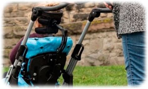 wheelchair headrest  head control