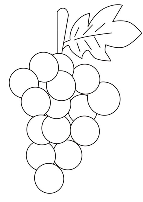 coloring pages bunch  grapes coloring page  kids