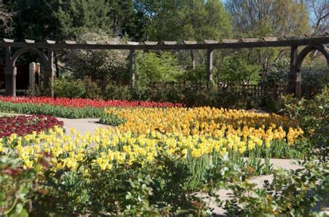 amazing hidden gardens  visit  kansas  spring