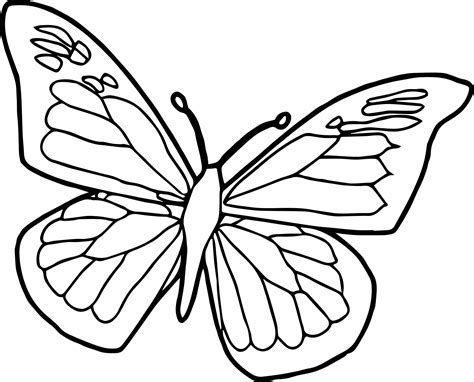 cool blue black butterfly coloring page insect coloring pages spring