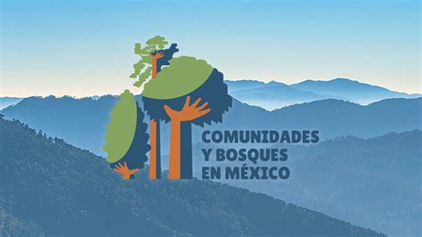 accion  consejo civil mexicano  la sivilcultura sotenible