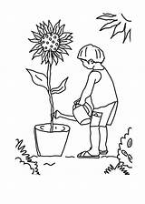 Plants Coloring Growing Sunflower Kid Plant Need Pages Drawing Sunlight Tree Colouring Sky Kids Coloringsky Getdrawings Template Choose Board sketch template