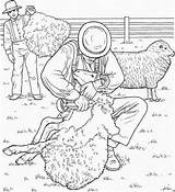 Coloring Pages Eid Adha Sheep Al Ul Boerderij Farm Kleurplaten Islam Animal Adults Drawings Most Adult Print Animated Op Amazing sketch template