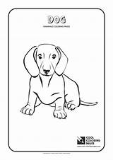 Coloring Dog Pages Cool Animals Mammals Print Kids sketch template