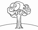 Tree Large Coloring Coloringcrew sketch template