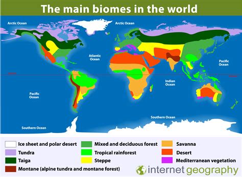global biomes geography