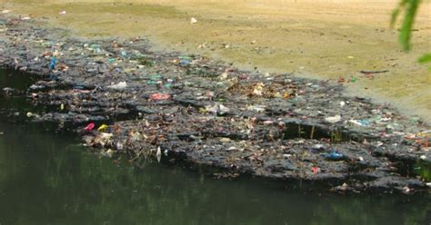 Contoh Sungai Tercemar Di Malaysia Marquswetrollns