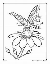 Coloring Pdf Friday June Freebie Printables Pages Butterfly Follow Below Link Upload sketch template