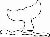 Tail Whale Clipartmag Drawing sketch template