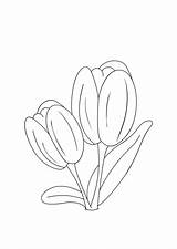 Coloring Tulip Flowers Pages Color Popular Print Kids Crafts sketch template