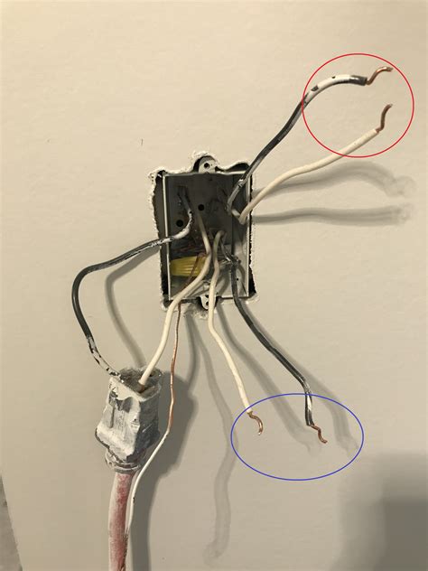 wiring diagram gallery feit   dimmer switch wiring diagram