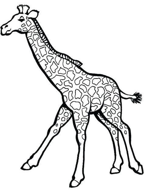 giraffe art coloring pages    collection  giraffe coloring