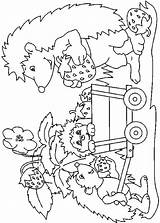 Kleurplaat Coloring Egels Hedgehogs Colorat Herbst Igel Ricci Egel Malvorlagen Riccio Colorare Kleurplaten Herisson Animale Arici Jung Disegni Igeln Ausmalen sketch template