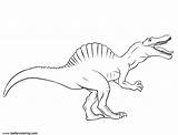 Spinosaurus Coloring Pages Sketch Printable Kids Color Print sketch template