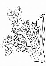Kleurplaten Dieren Chameleons Camaleonte Chameleon Kameleon Tree Piccolo Carina Selvatici 1023 sketch template