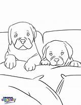 Coloring Bed Pages Marvelous Dogs Birijus sketch template