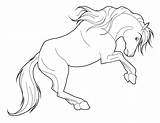 Malvorlagen Wildpferde Pferd Eifrige sketch template