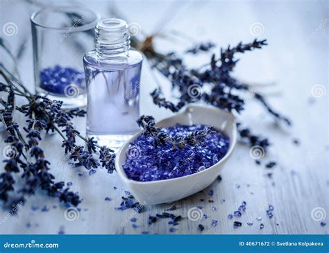 lavender spa treatment stock photo image  alternative