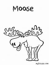 Moose Coloring Pages Head Antlers Comments Colouring Coloringhome Cute Popular Template sketch template