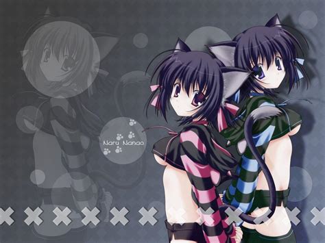 catgirl wallpapers wallpaper cave