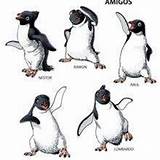 Amigos Pinguin Mumble Tanzen Freunde Hellokids Ado Ivys Familie Línea Ausmalen sketch template