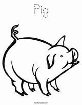 Coloring Pig Favorites Login Add sketch template