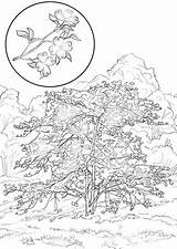 Dogwood Coloring Designlooter Cornus Flowering Sketch 480px 83kb sketch template