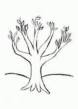Coloring Pages Trunk Tree Adults Kids Use sketch template
