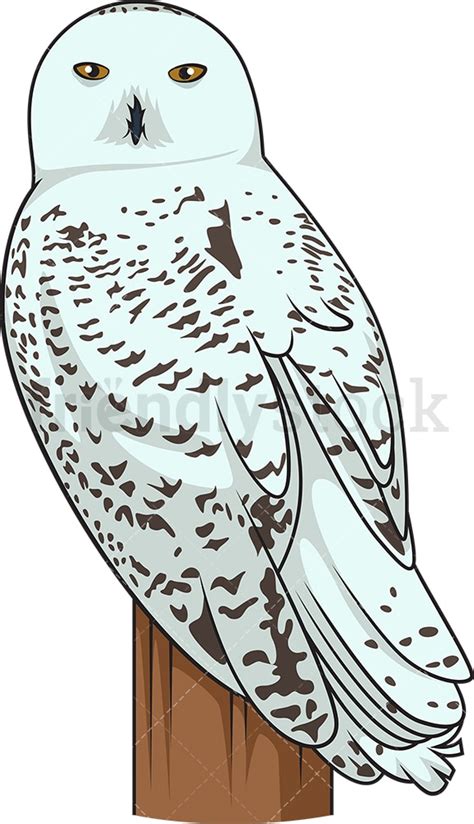 snowy owl cartoon vector clipart friendlystock