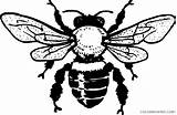 Bee Coloring4free Honey Coloring Pages Queen Hi Printable Related Posts sketch template