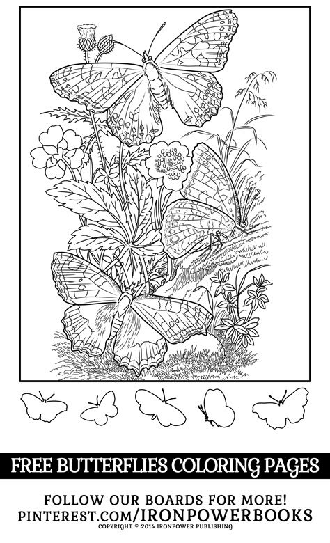 butterfly coloring pages  girls   freely  personal  commercial  vi