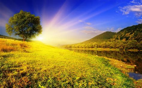 sunbeam hd wallpapers  background images yl computing