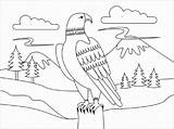 Eagle Disegno Aquila Aquile Ausmalbilder Adler Scaricare Atuttodonna sketch template