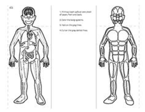 human body anatomy outline printable  kids health token clipart