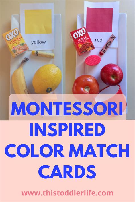 montessori inspired color matching activities  toddlers toddler