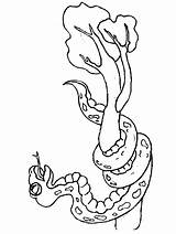 Serpenti Colorat Schlangen Zmije Serpi Animale Serpents Zmija Bojanke Cobras Crtež Deset Poinsettia Printanje Codes Preleva Malvorlage Colorido Gifgratis Insertion sketch template