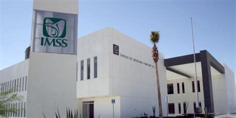 access  mexican healthcare system imss