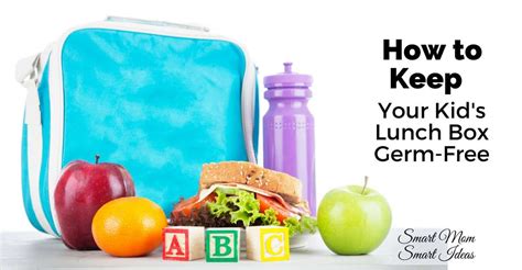 clean  insulated lunch box