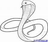 Snake Cobra Drawing King Coloring Pages Drawings Sketch Kids Outline Tut Coiled Snakes Cartoon Painting Draw Serpent Printable Head Simple sketch template