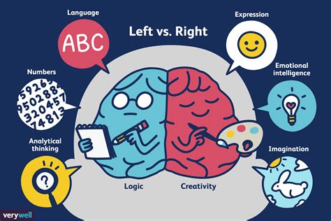 Left Brain Vs Right Brain Dominance What S The Reality