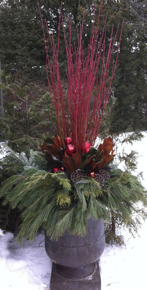 cardinal dogwood   branch ranch christmas