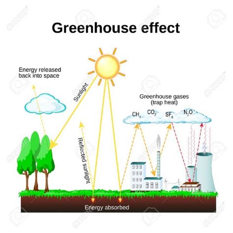 greenhouse effect diagram showing   greenhouse effect  diagram collection