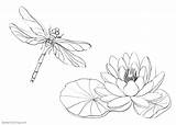 Coloring Water Pond Lily Dragonfly Pages Printable Print Color Kids sketch template